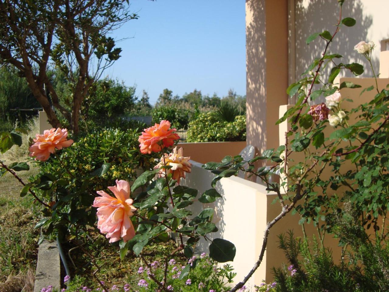 Athina Hotel Rethymno  Bagian luar foto