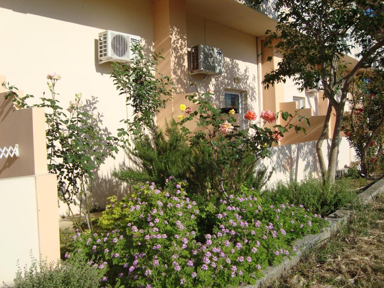 Athina Hotel Rethymno  Bagian luar foto